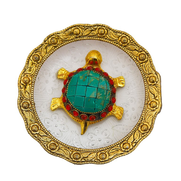 Turquoise Turtle on Glass Plate