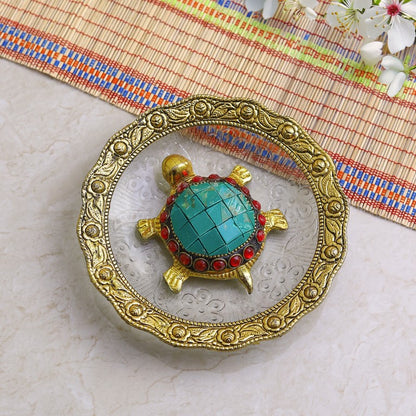 Turquoise Turtle on Glass Plate