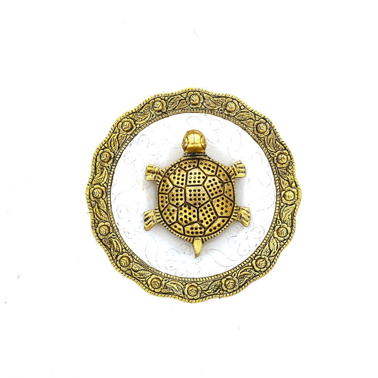 Tortoise with Crystal Clear Plate