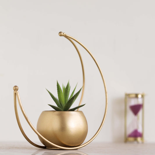 Brass Design Studio Moon Planter Pot Elevate Your Indoor Oasis with Style & Durability